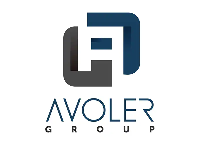 Friend Sponsor – Avolor Group Logo